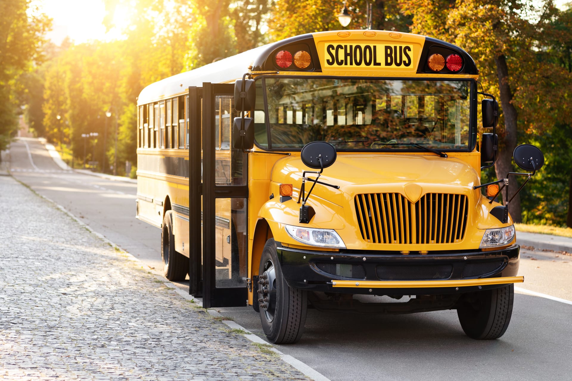 Conventional School Bus